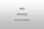 Yukon Elite Trekking Snow Poles Airhead 83-0149 Expedited Shipping New. Price: $36.35.